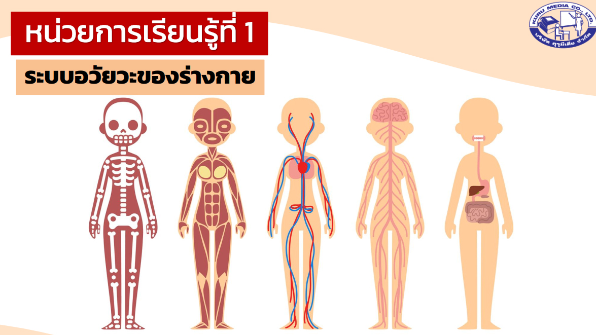 สื่อการเรียนการสอน โรงเรียนเวียงแหงวิทยาคม