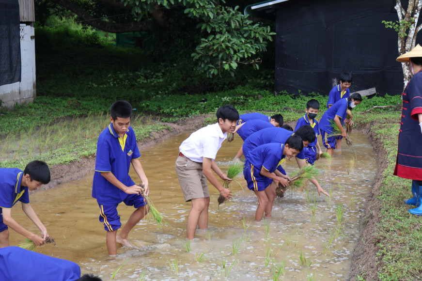 งานประชาสัมพันธ์โรงเรียนเวียงแหงวิทยาคม โรงเรียนเวียงแหงวิทยาคม