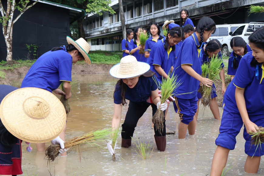งานประชาสัมพันธ์โรงเรียนเวียงแหงวิทยาคม โรงเรียนเวียงแหงวิทยาคม