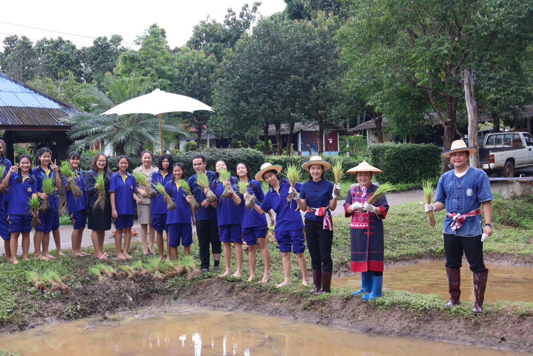 โครงการดำนาปลูกข้าว สร้างประสบการณ์ชีวิต เรียนรู้วิถีชีวิตของชาวนาเนื่องในโอกาสวันแม่แห่งชาติประจำปี 2567